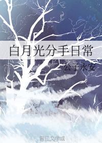 公子永安小说《白月光分手日常》