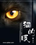 参辰小说《猫的眼》